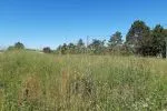 Terrain à bâtir de 876 m² à CASTRES (81)
