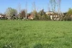 Terrain à bâtir de 725 m² à ALBI (81)
