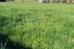 Terrain à bâtir de 725 m² à ALBI (81)
