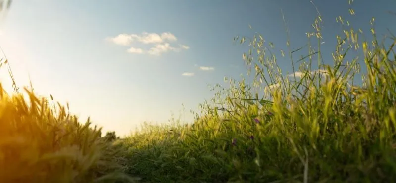 COMMENT TROUVER VOTRE TERRAIN À BÂTIR ?