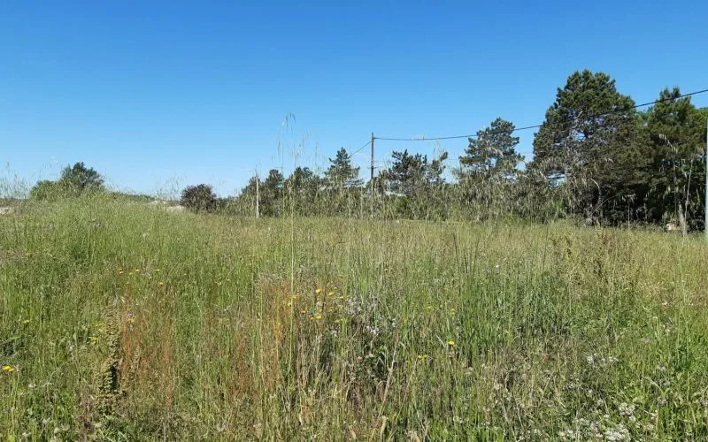 Terrain à bâtir de 876 m² à CASTRES (81)
