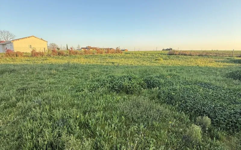 Terrain à bâtir de 834 m² à SERENAC (81)
