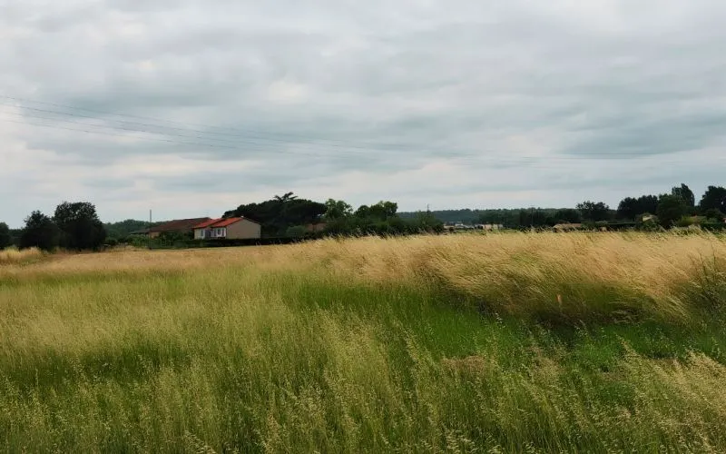 Terrain à bâtir de 1190 m² à SAINT-SULPICE (81)
