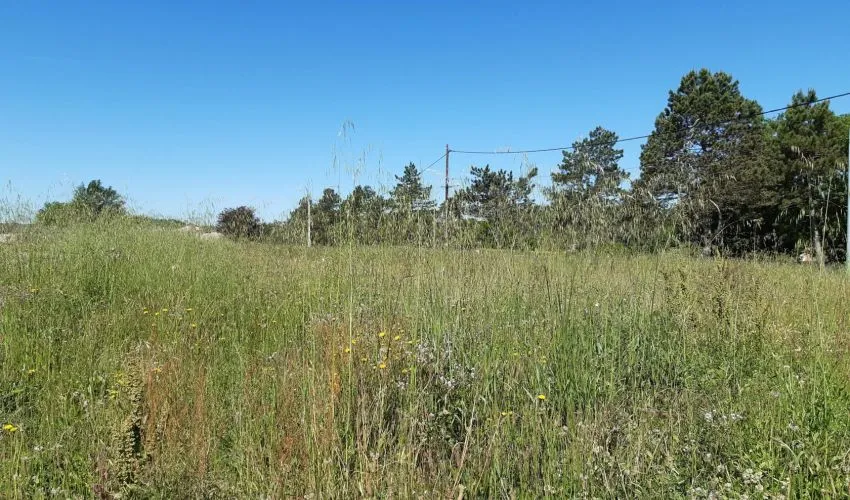 Terrain à bâtir de 876 m² à CASTRES (81)
