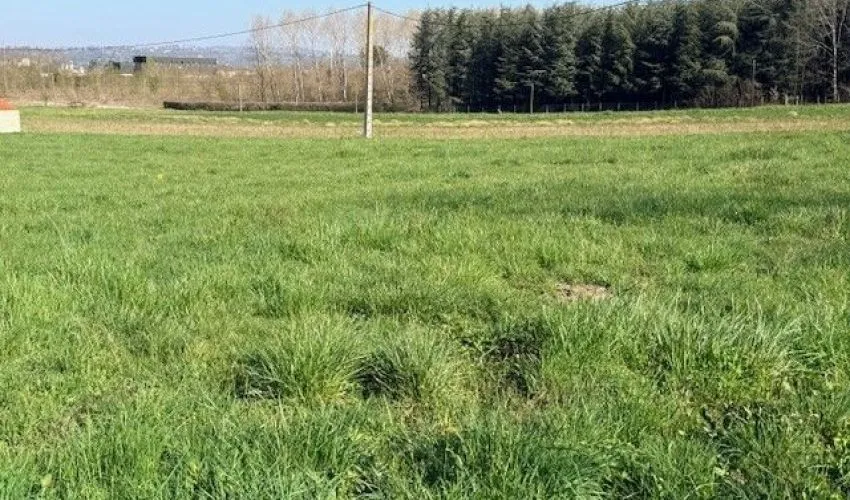 Terrain à bâtir de 725 m² à ALBI (81)
