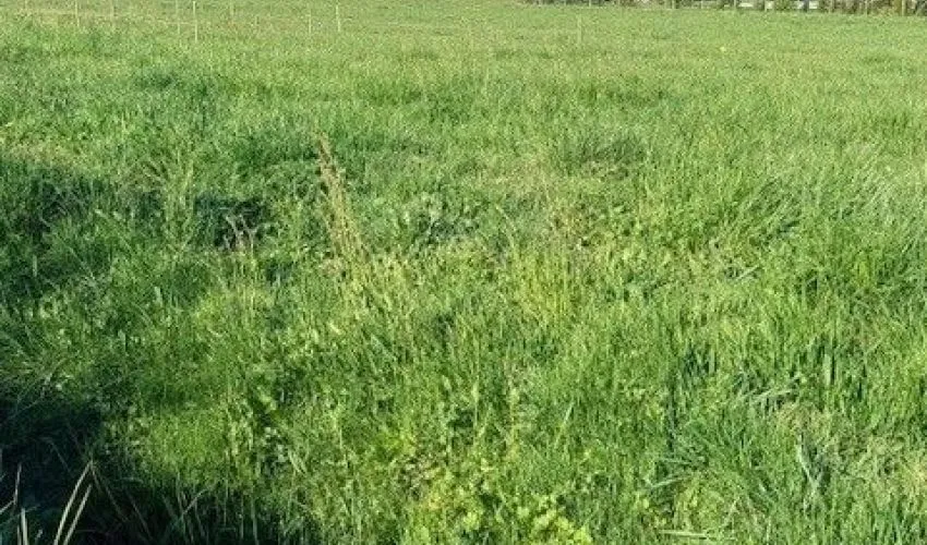 Terrain à bâtir de 725 m² à ALBI (81)
