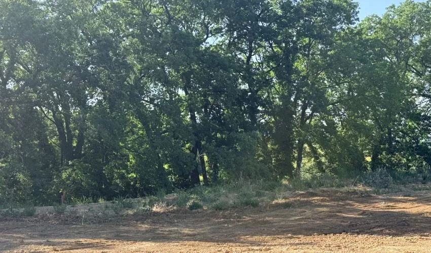 Projet de construction d'une maison 169 m² avec terrain à TECOU (81)