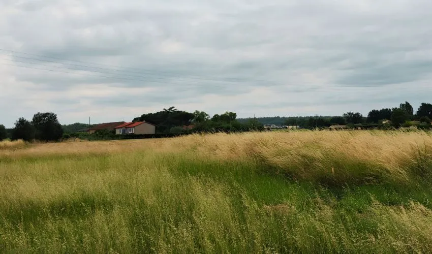 Terrain à bâtir de 1190 m² à SAINT-SULPICE (81)
