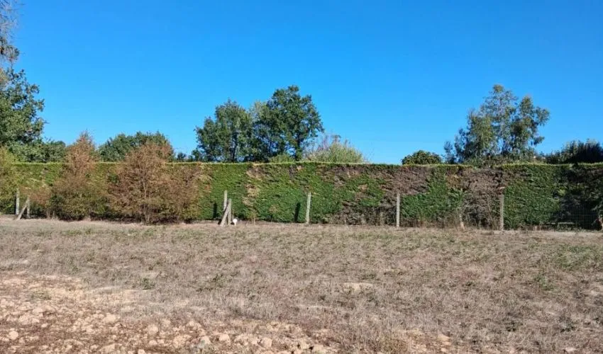 Projet de construction d'une maison 124 m² avec terrain à ALBI (81)